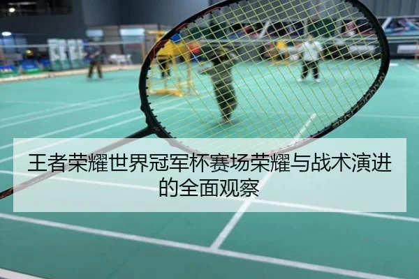 王者荣耀世界冠军杯赛场荣耀与战术演进的全面观察