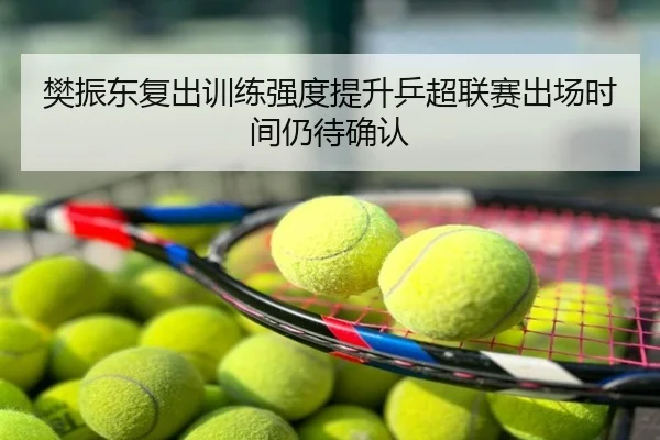 樊振东复出训练强度提升乒超联赛出场时间仍待确认